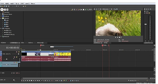 Vegas pro